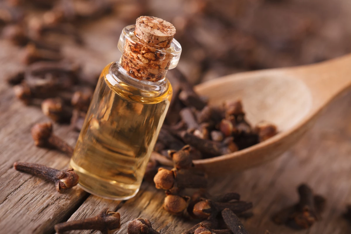 روغن میخک