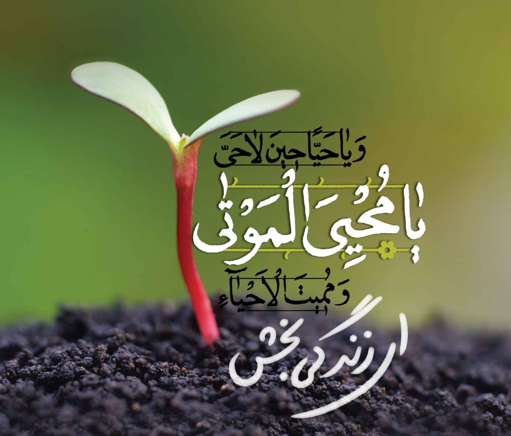 مهدویت