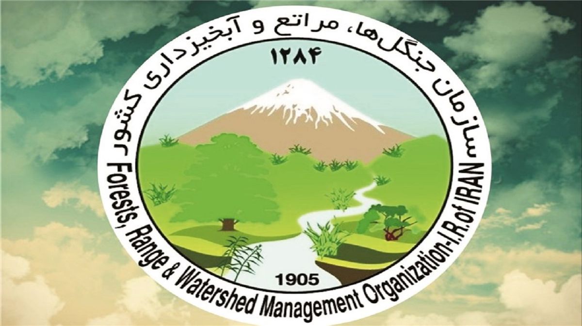 سازمان جنگلها