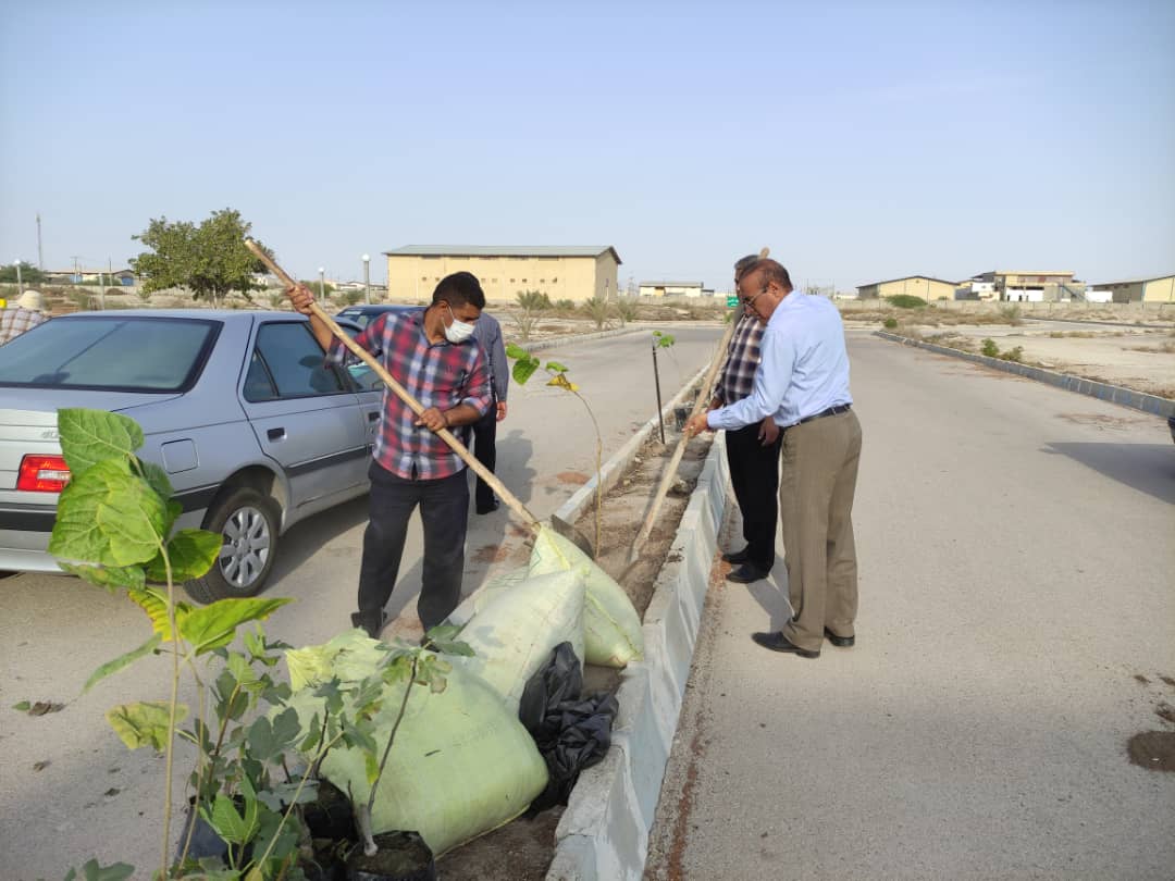 کاشت ۱۰۰ اصله نهال در دانشگاه آزاد اسلامی بندرلنگه