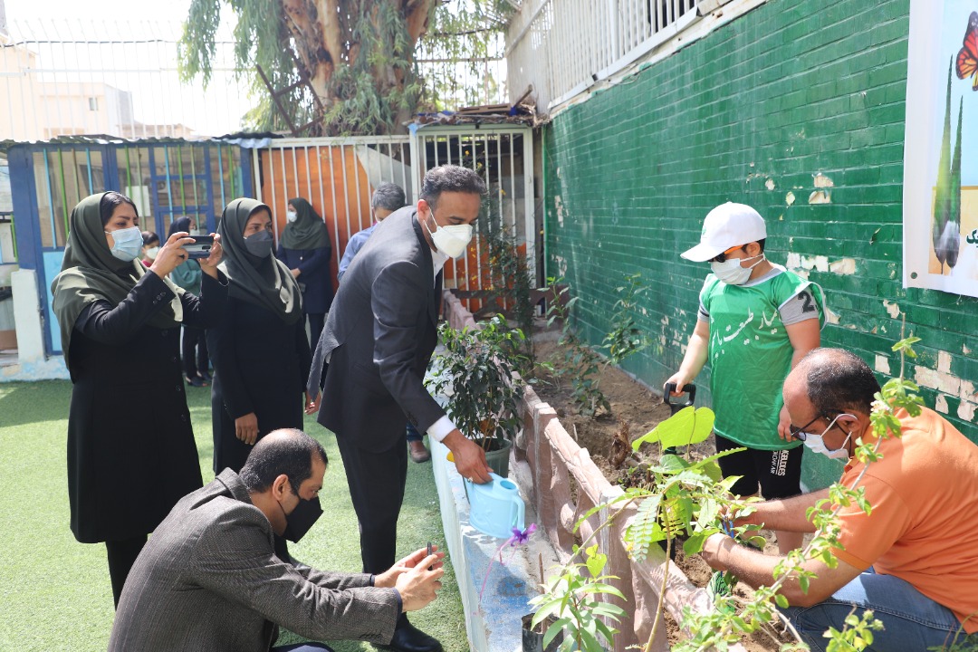 درختکاری