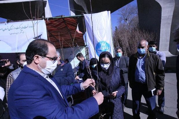 دانشگاه تهران