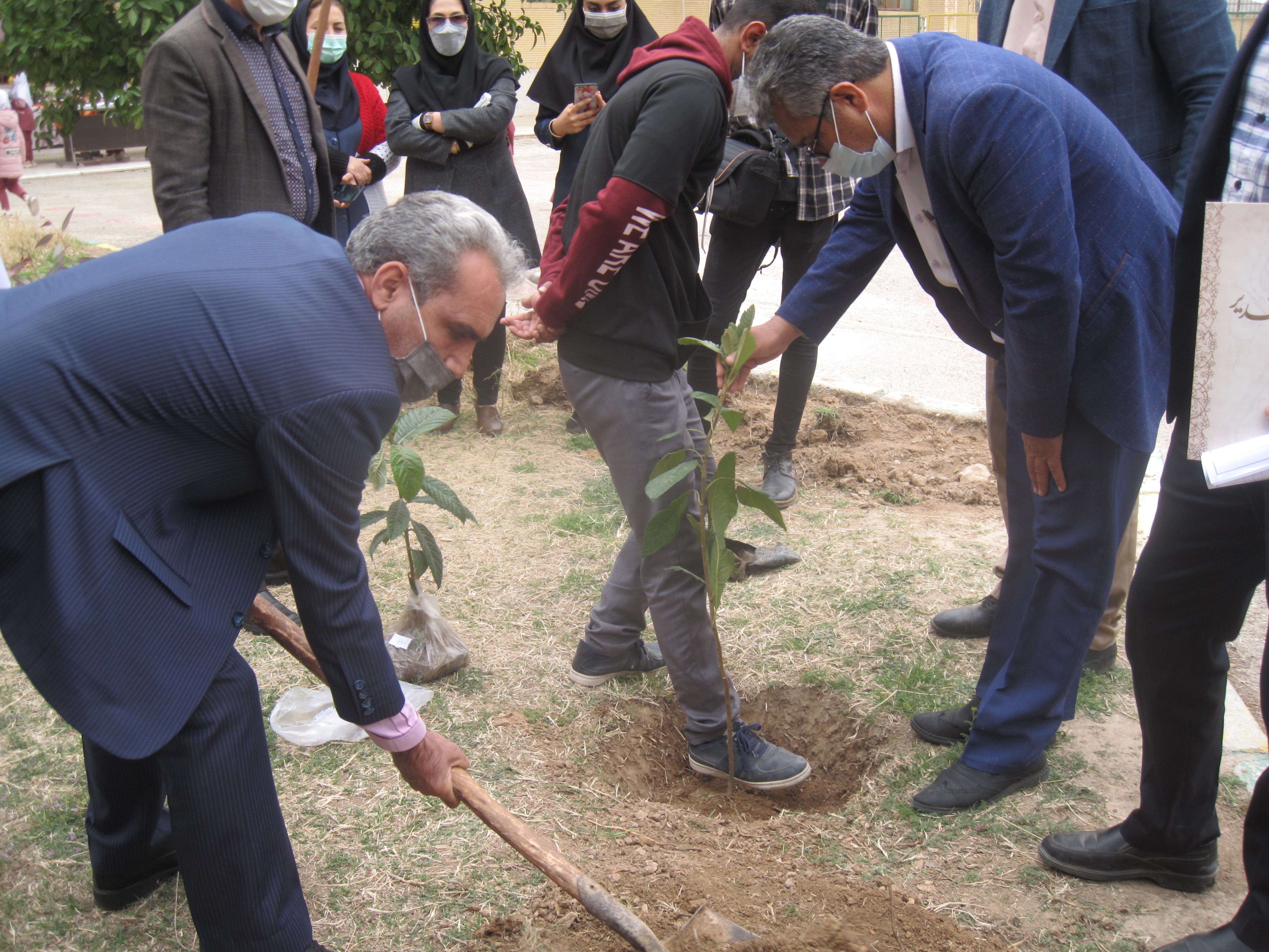 مراسم کاشت نهال در مجتمع مدارس سمای دانشگاه آزاد نیریز