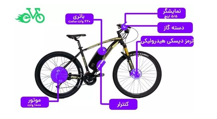 رپرتاژ
