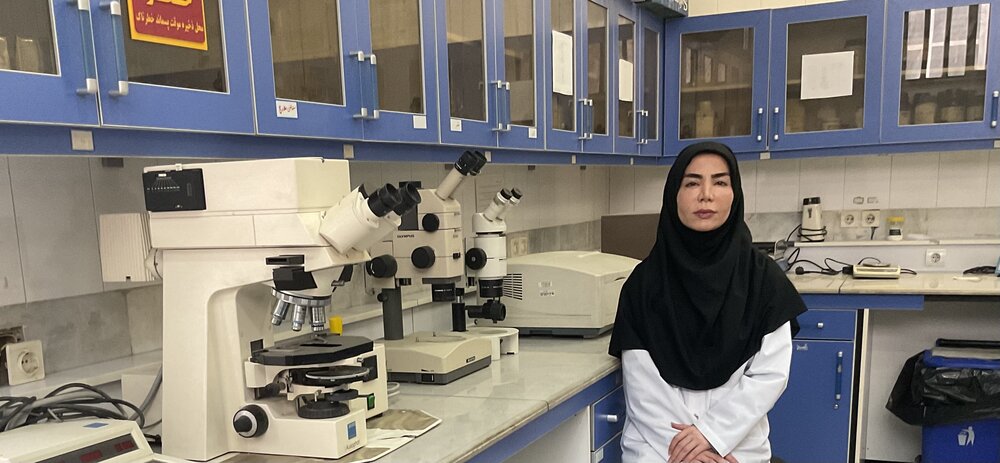 ساره هاشمی