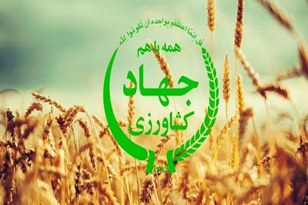 کشاورزی