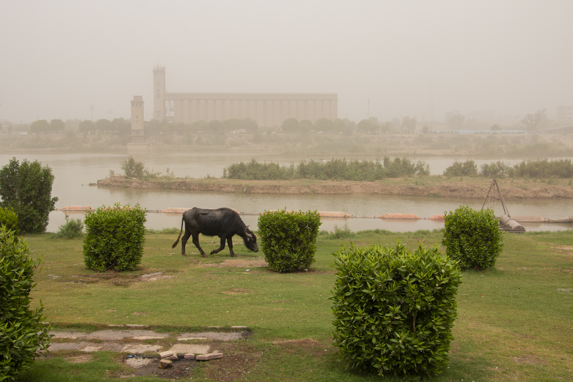 گرد و غبار در اهواز