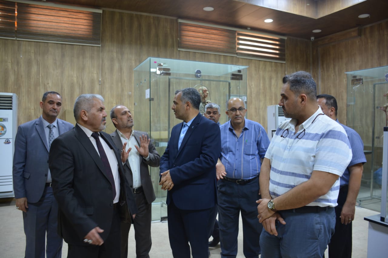 بازدید