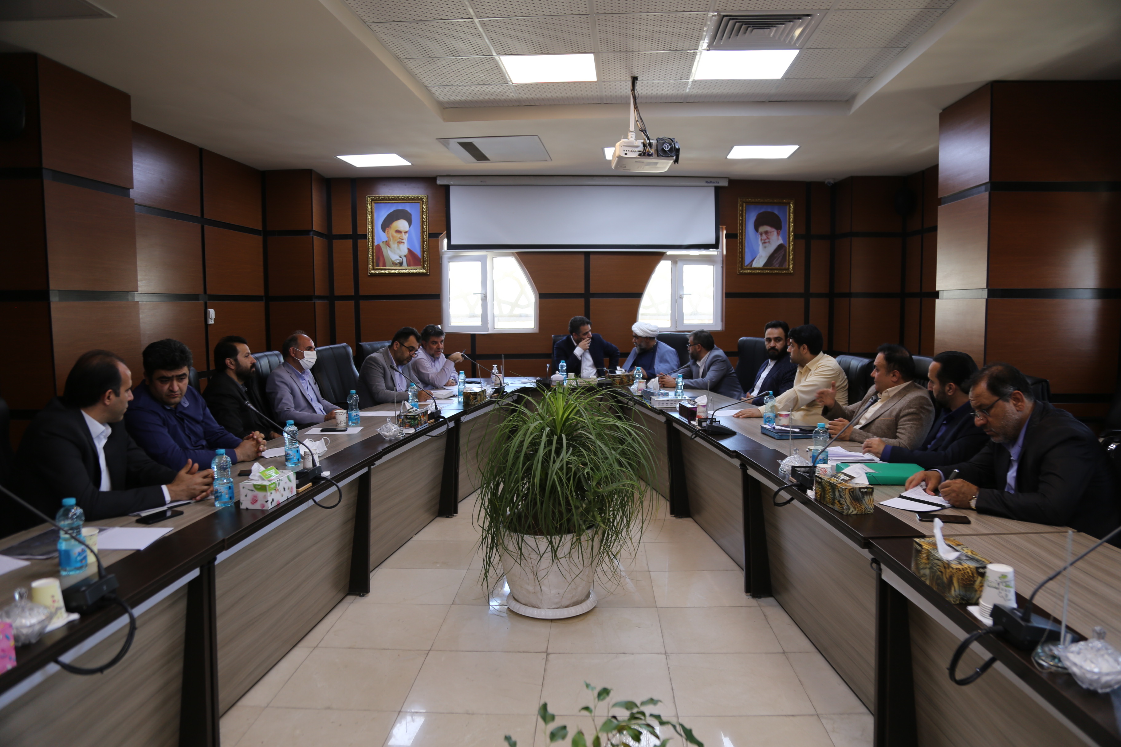 پیربلوطی