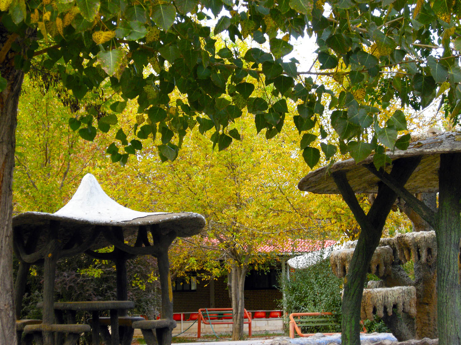 DSCN8032.JPG