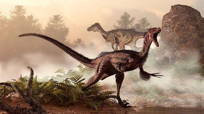 raptor_16x9.jpg