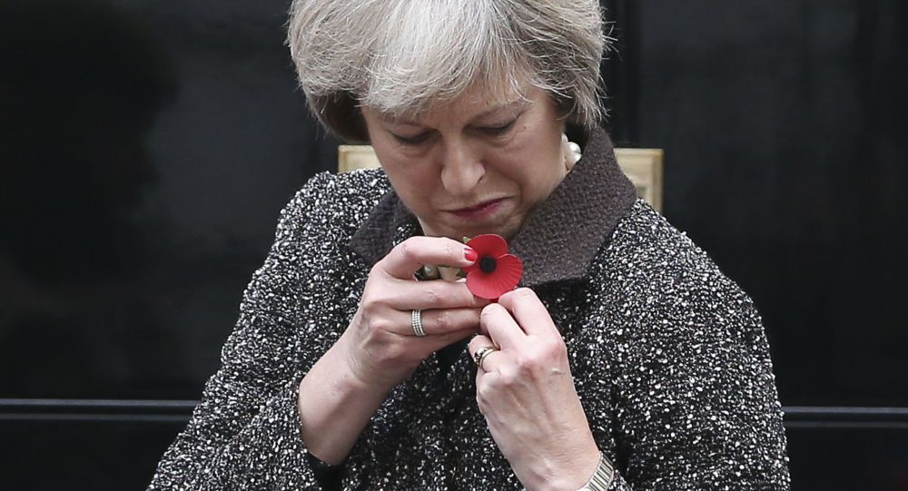 2563565.jpg