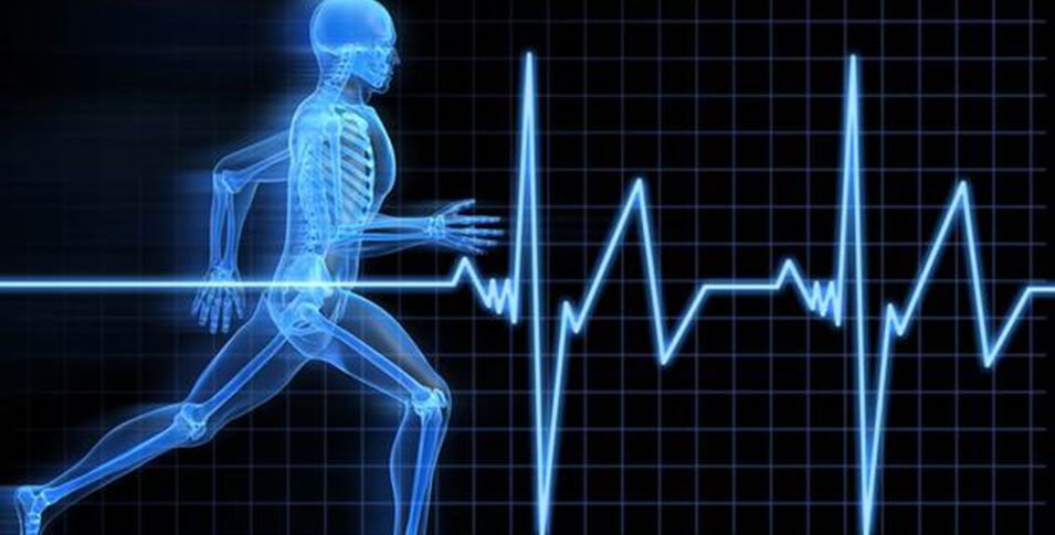 elite-athlete-sport-science-header.jpg