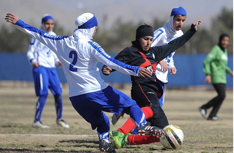 isna-11-196-th4.jpg