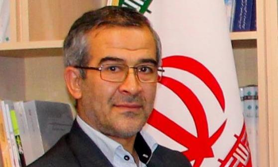 حب نقی2.jpg