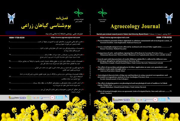 Front bahar 96.jpg