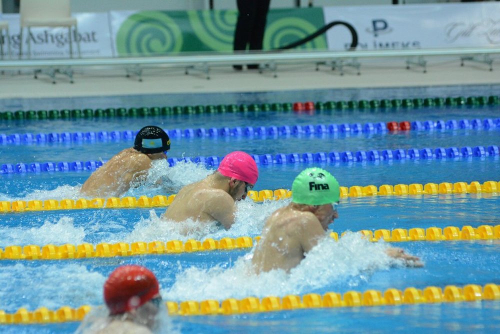 SWIM.jpg