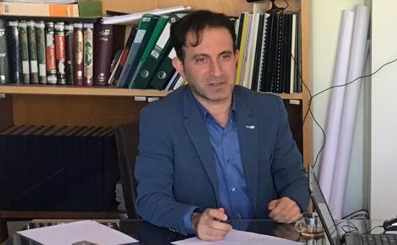 درخت.jpg