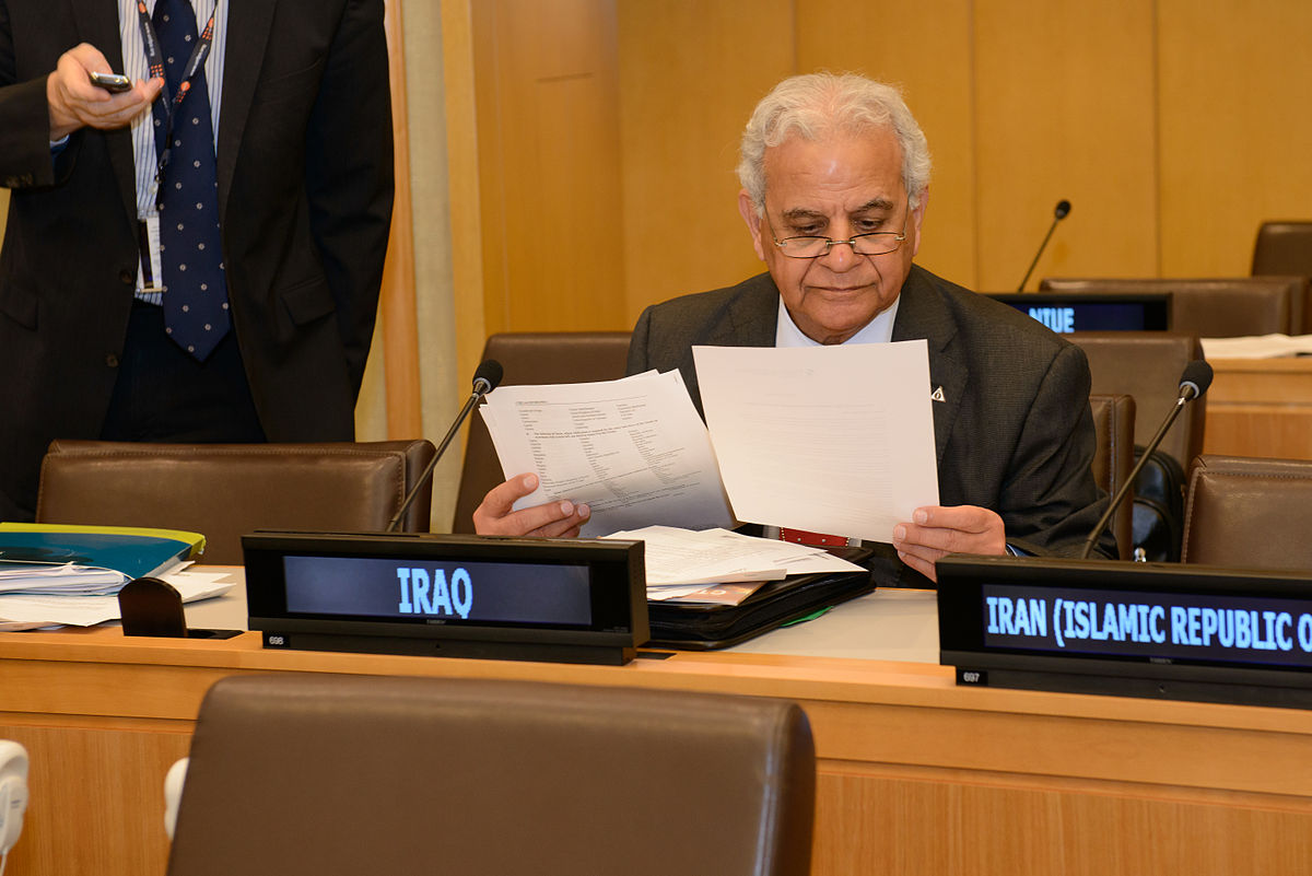 Mohamed_Ali_Alhakim,_Permanent_Representative_of_Iraq_to_the_UN_in_New_York_(9998822194).jpg