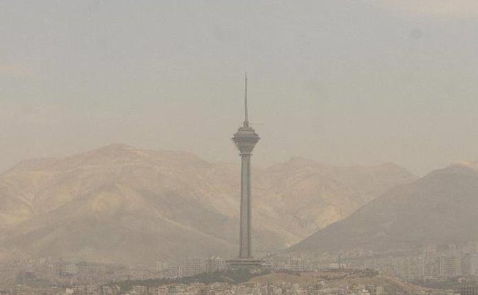 151664_557.jpg