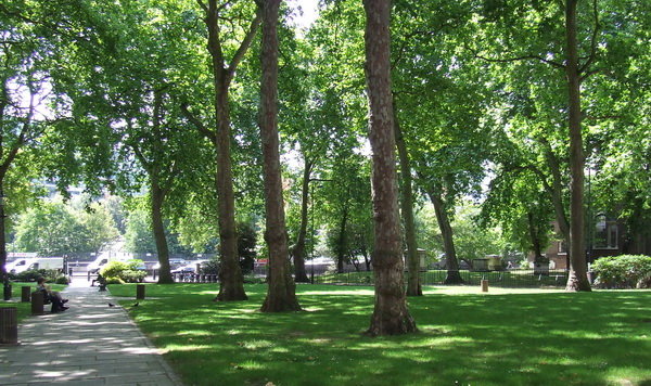 57470106.jpg