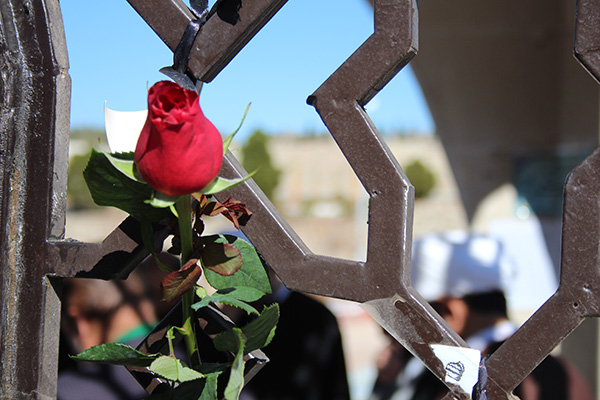 the-revolutionary-assembly-of-the-islamic-revolutionary-academy-of-the-islamic-republic-of-iran-at-the-islamic-azad-university-of-qom-in-the-decade-of-fajr (3).JPG