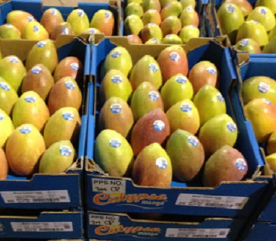 Ooloo-Mangoes.jpg