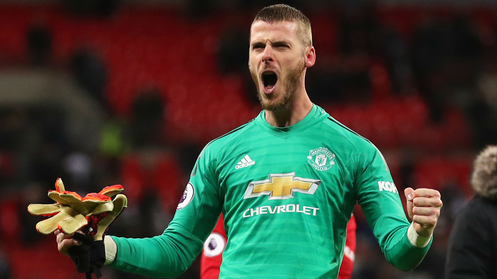 David de Gea.jpg