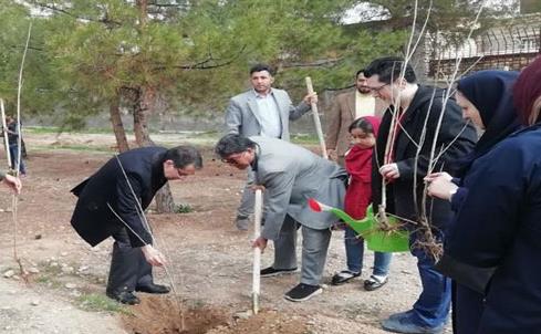 semums-kasht.nahal_82252.jpg
