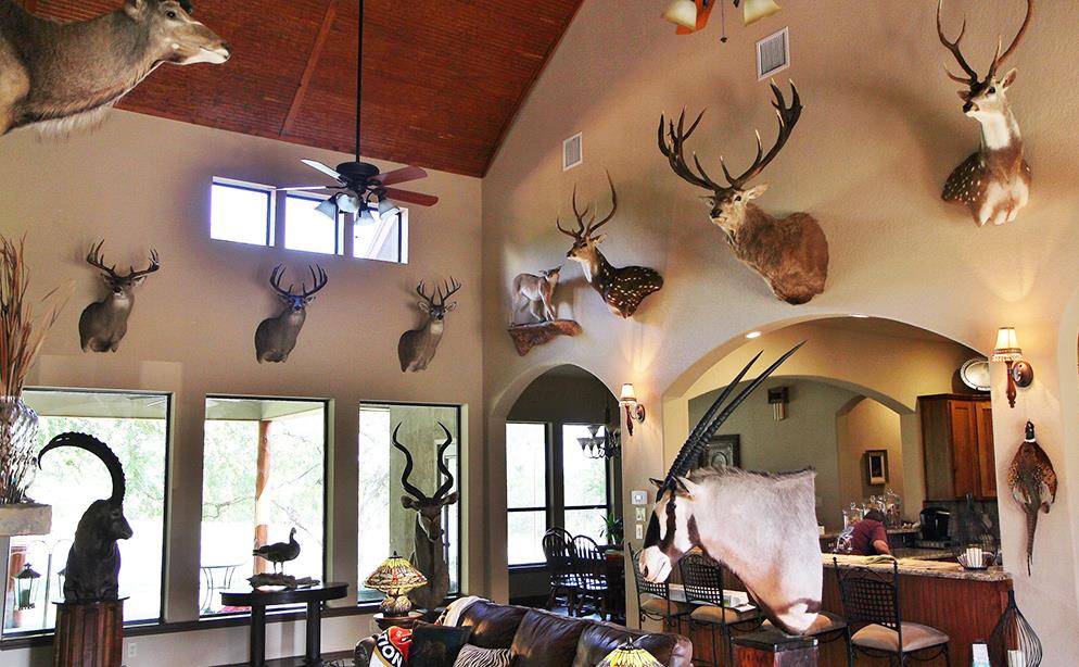 trophy_room_072016_9615.jpg