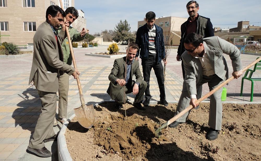 درختکاری7.jpg