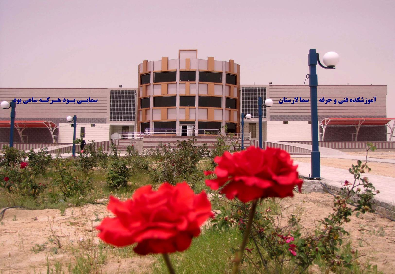 Picture1.jpg