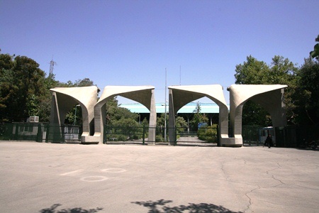 78.jpg