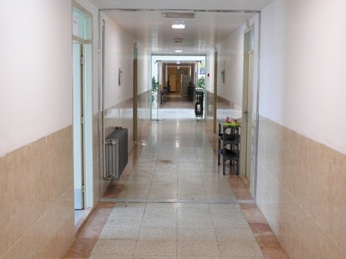 P1170029.jpg