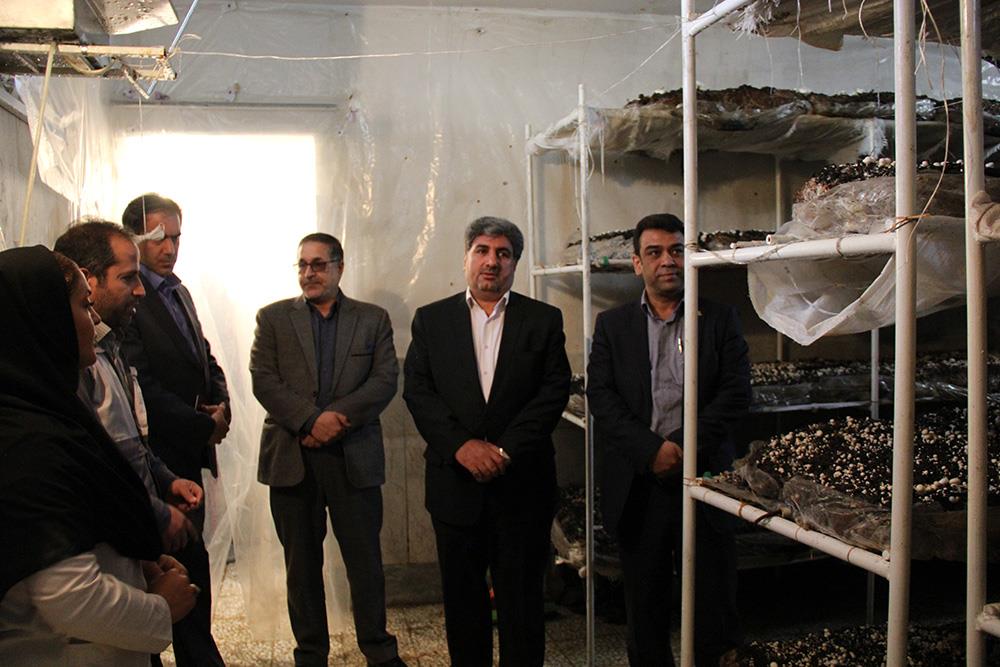 بازدید1.jpg