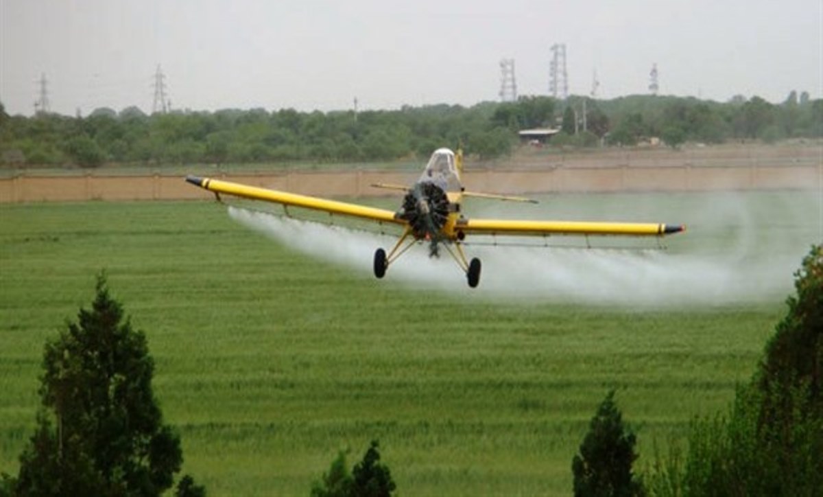 n83202252-72832836.jpg