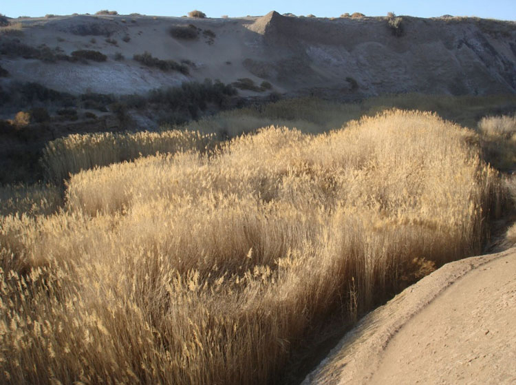 place_540_2.jpg