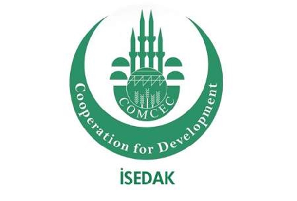 محمدعلی-حسن-زاده-معاون-امور-بندری-و-اقتصادی-سازمان-بنادر-و-دریانوردی.jpg