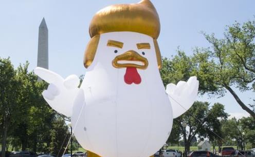 trump_chicken.jpg