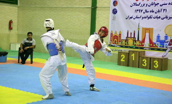 پاراتکواندو.jpg