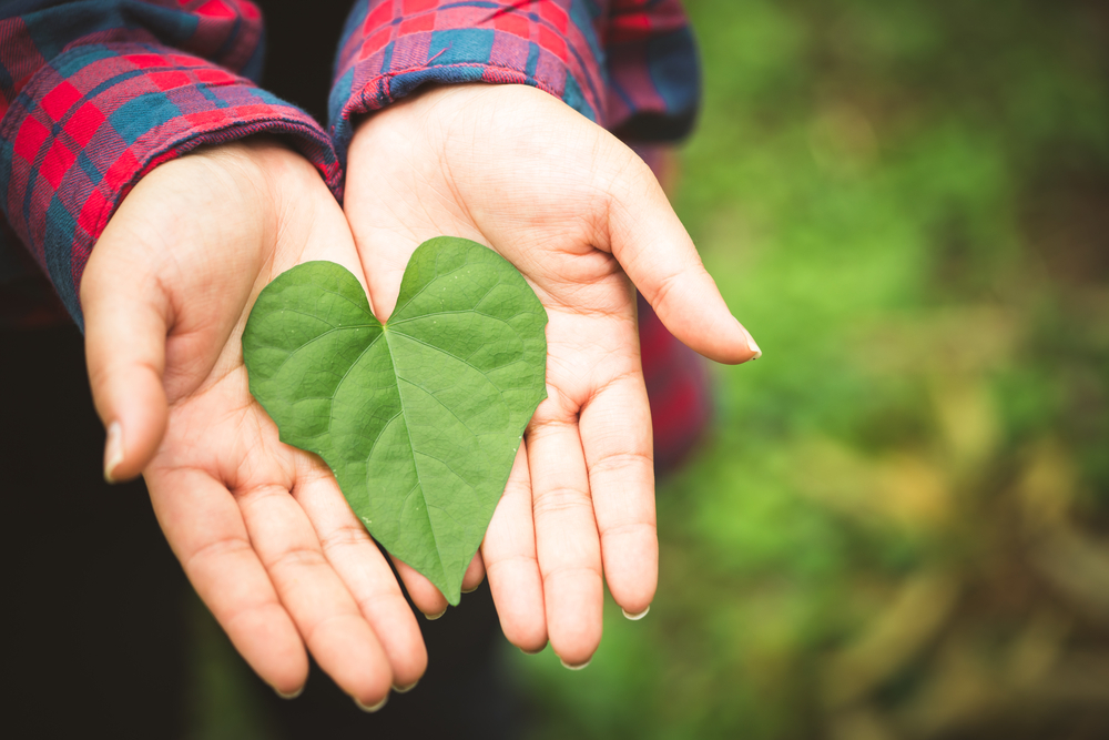 Green-lifestyle-1.jpg