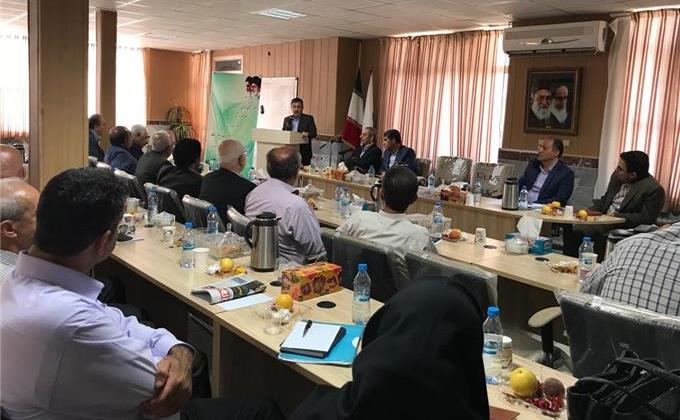 اخبار نادرست موجب خروج سرمایه از استان کردستان میشود