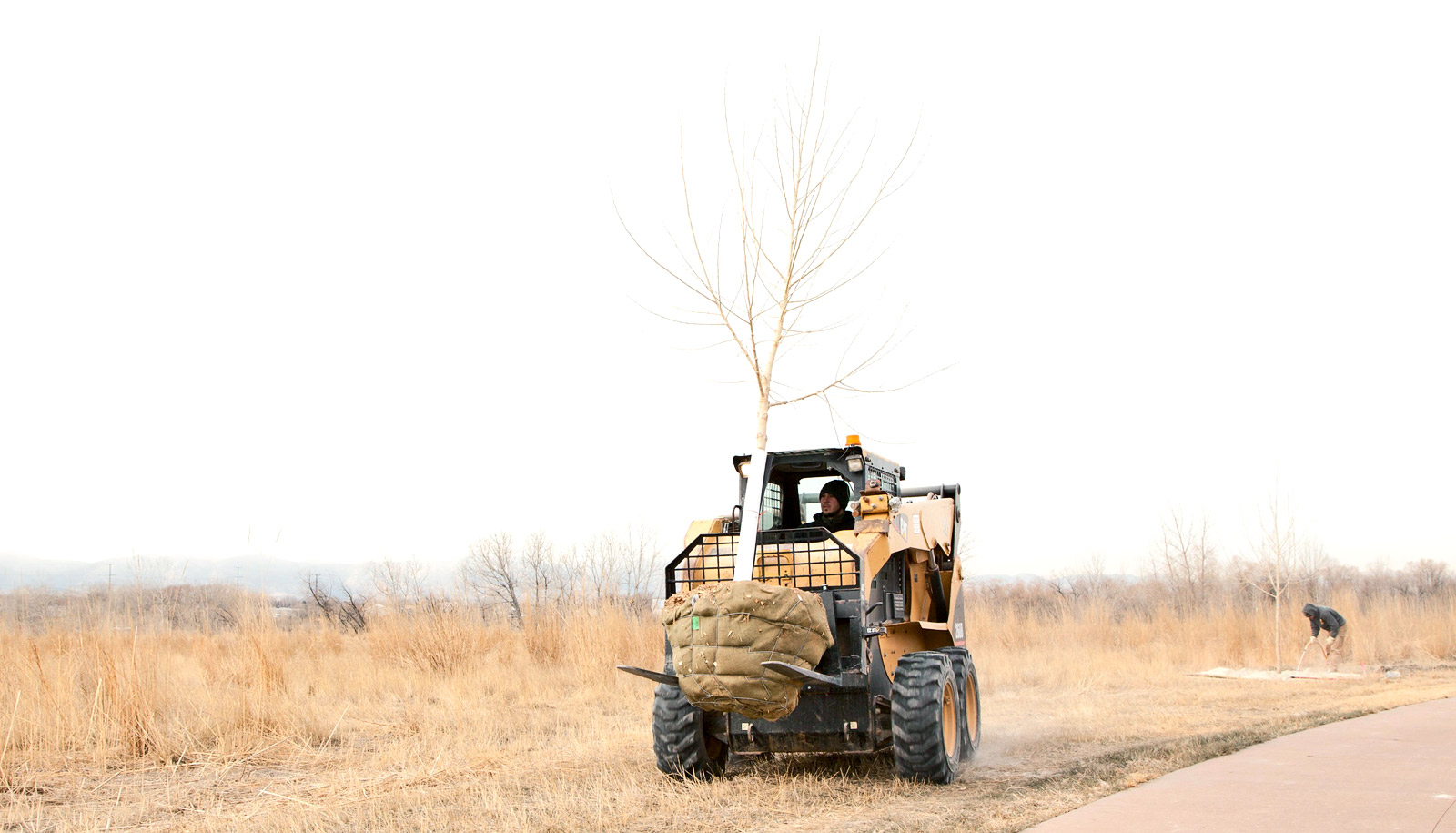 tree_planting_1600.jpg