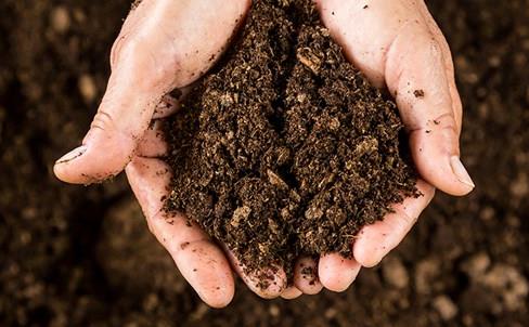 soil-in-hands-web-light.jpg