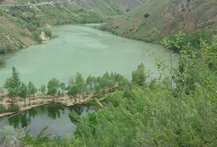 علی.jpg
