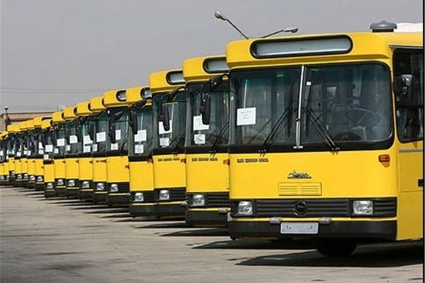 2562467.jpg