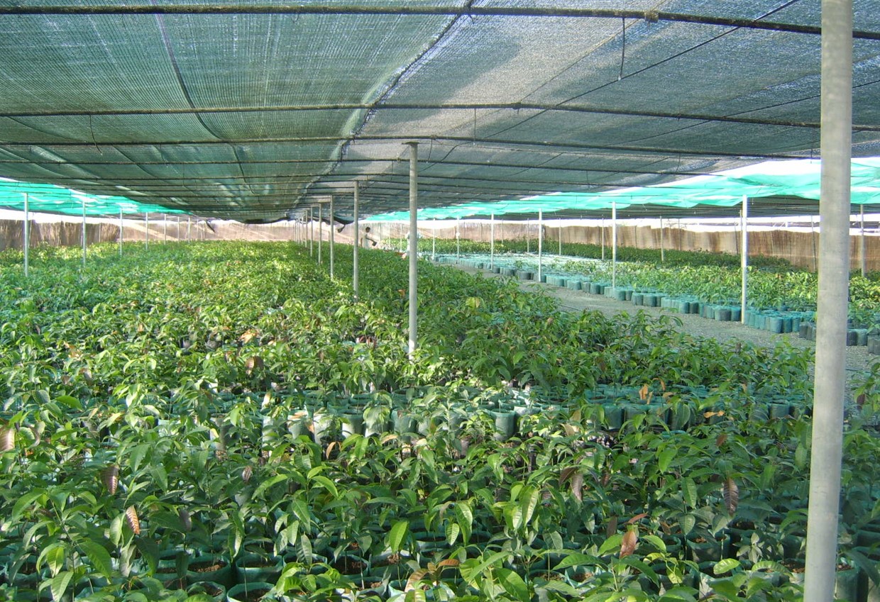 Picture1.jpg
