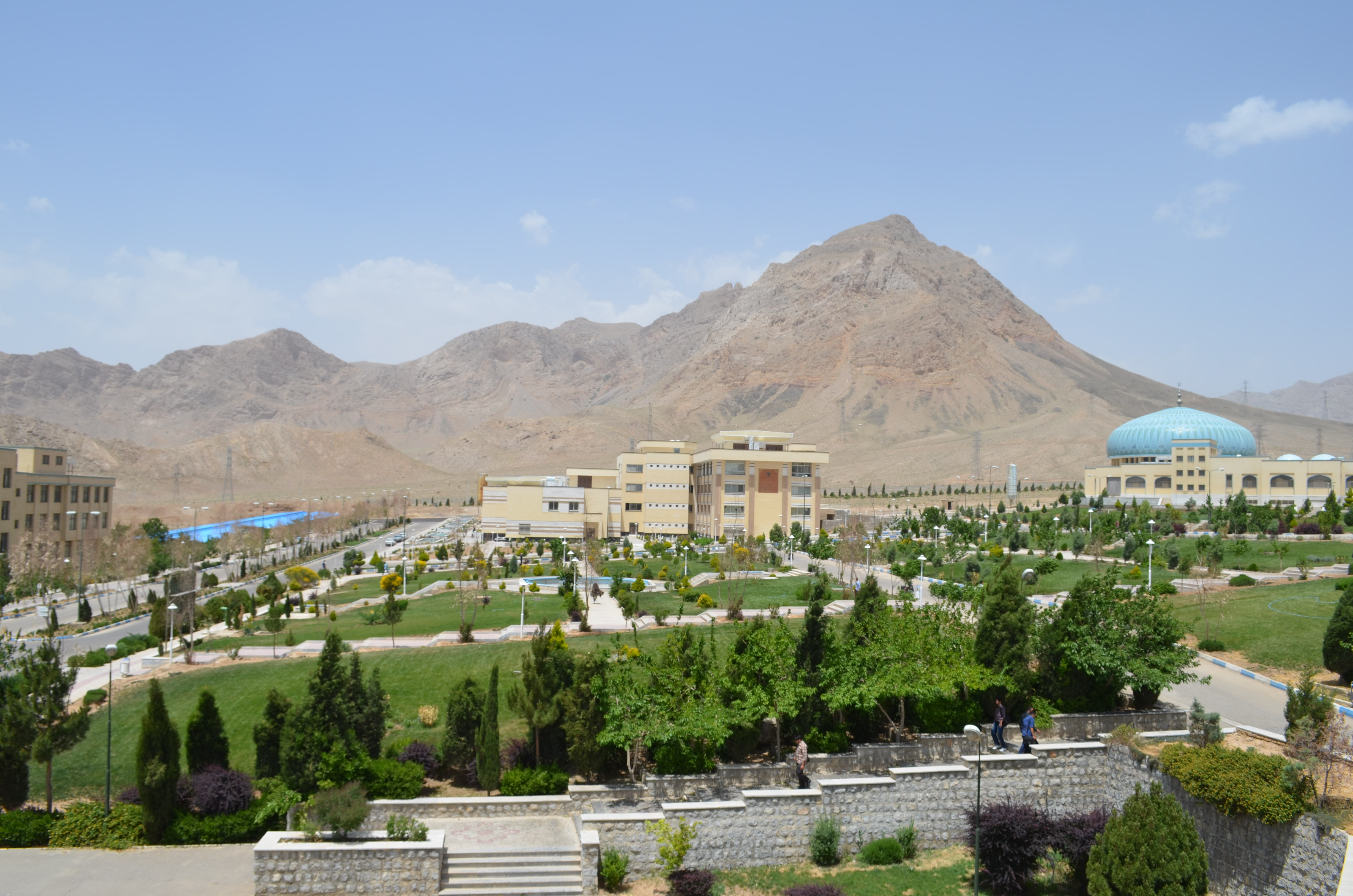 DSC_0204.JPG