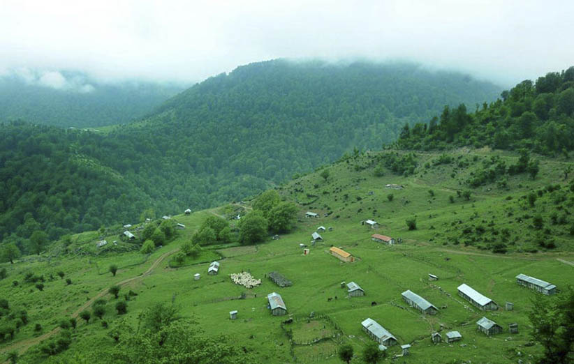 ییلاق-آلنزه.jpg