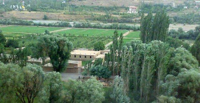 10491435_384.jpg